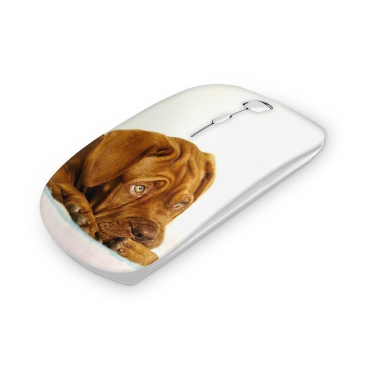 Mouse fara fir, Mobiltokguru, Sarpe 13