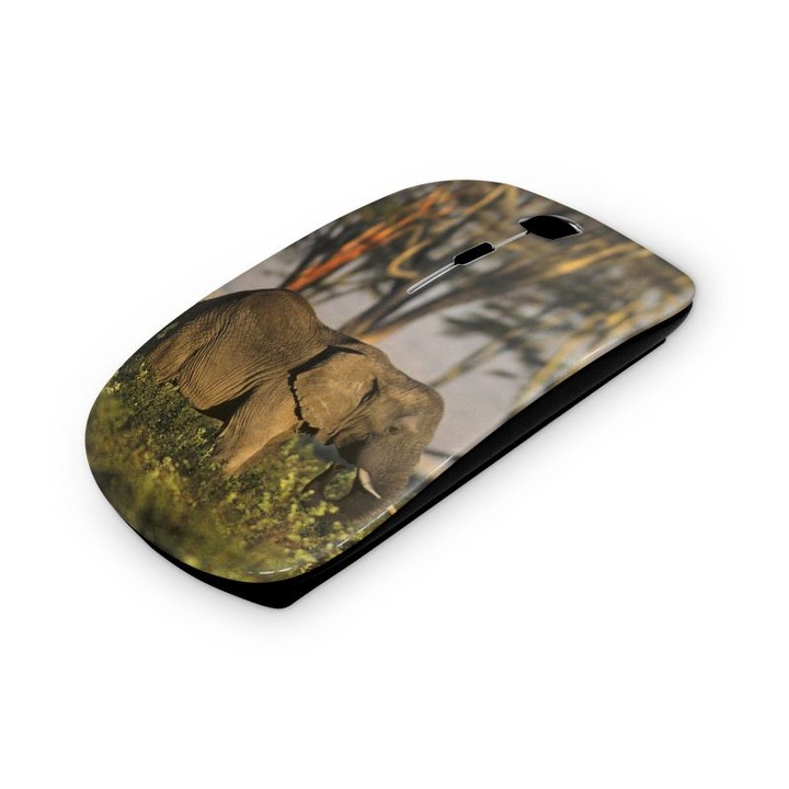 Mouse fara fir, Mobiltokguru, Marmura 7