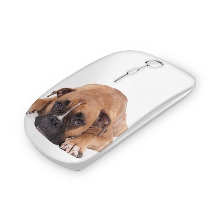 Mouse fara fir, Mobiltokguru, Trandafir hawaian 1