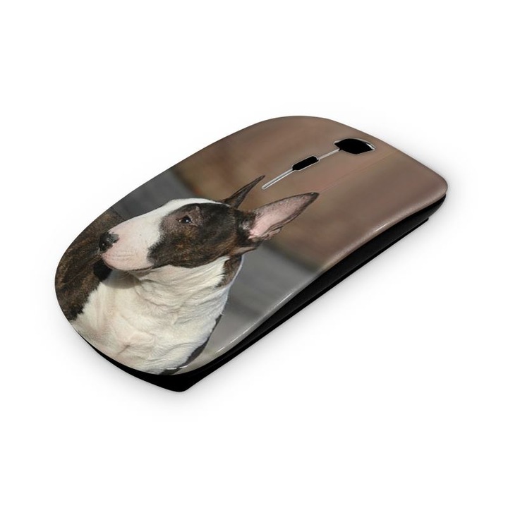 Mouse fara fir, Mobiltokguru, Profesor 7