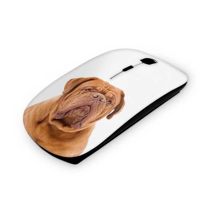 Mouse fara fir, Mobiltokguru, Bernathegy 1110
