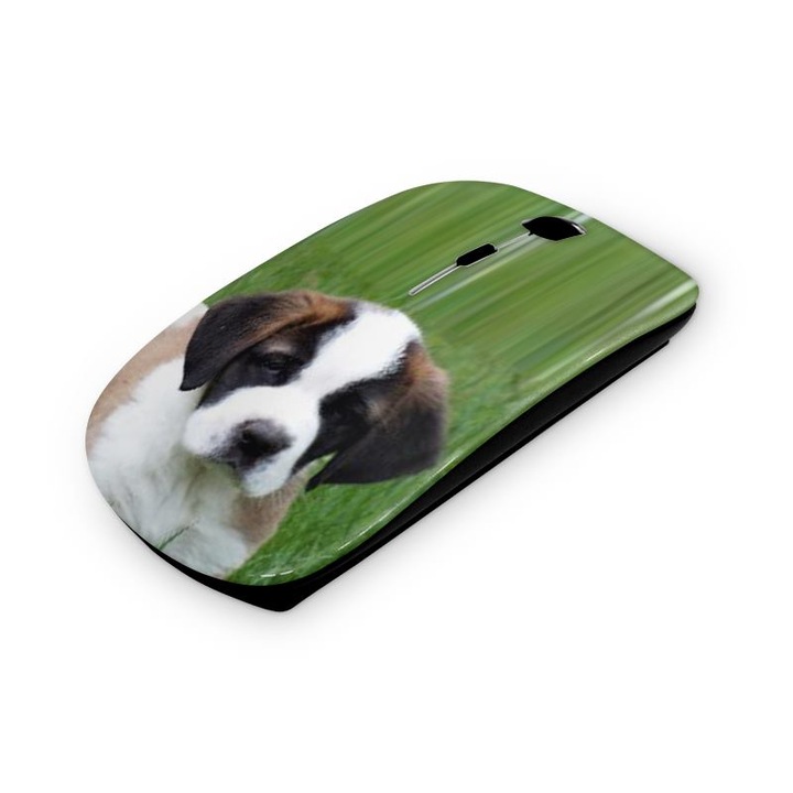 Mouse fara fir, Mobiltokguru, Greyhound 114