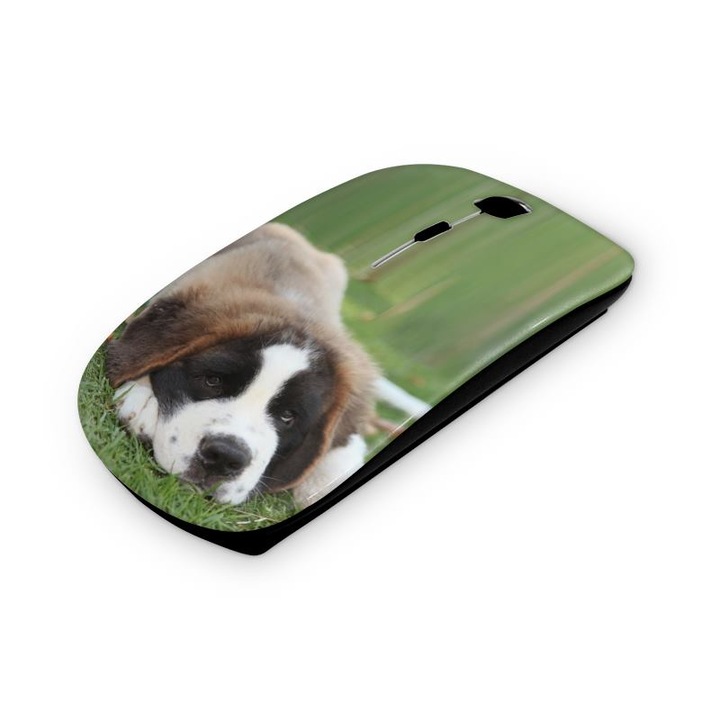 Mouse fara fir, Mobiltokguru, Caine 27