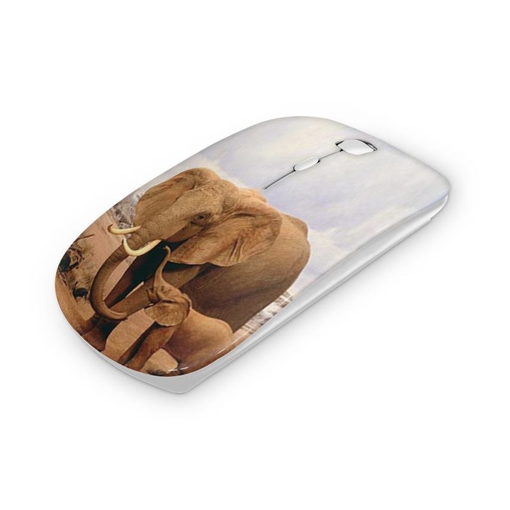 Mouse fara fir, Mobiltokguru, Mercedes 12