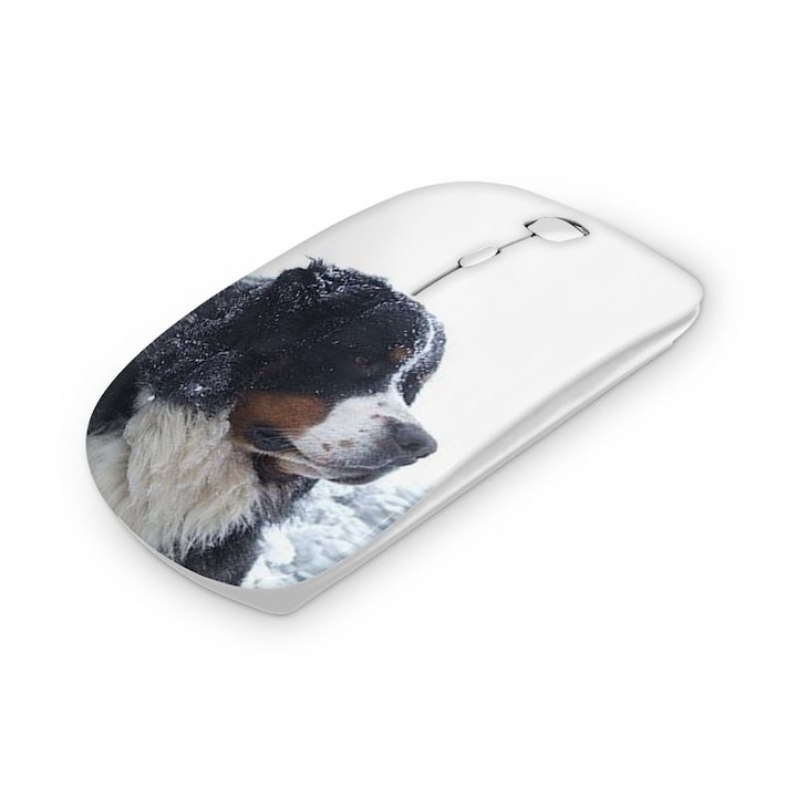 Mouse fara fir, Mobiltokguru, Ursulet 1