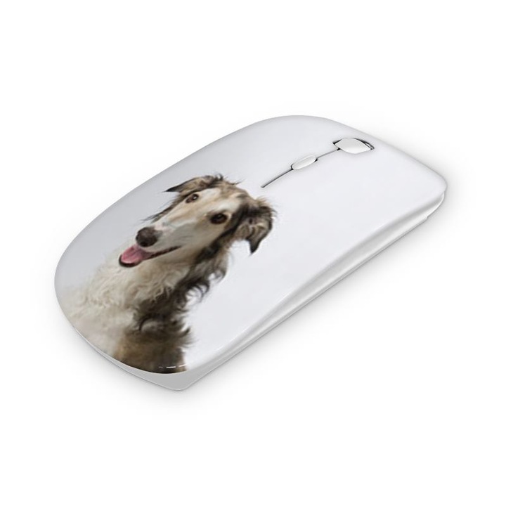 Mouse fara fir, Mobiltokguru, Zakynthos 1