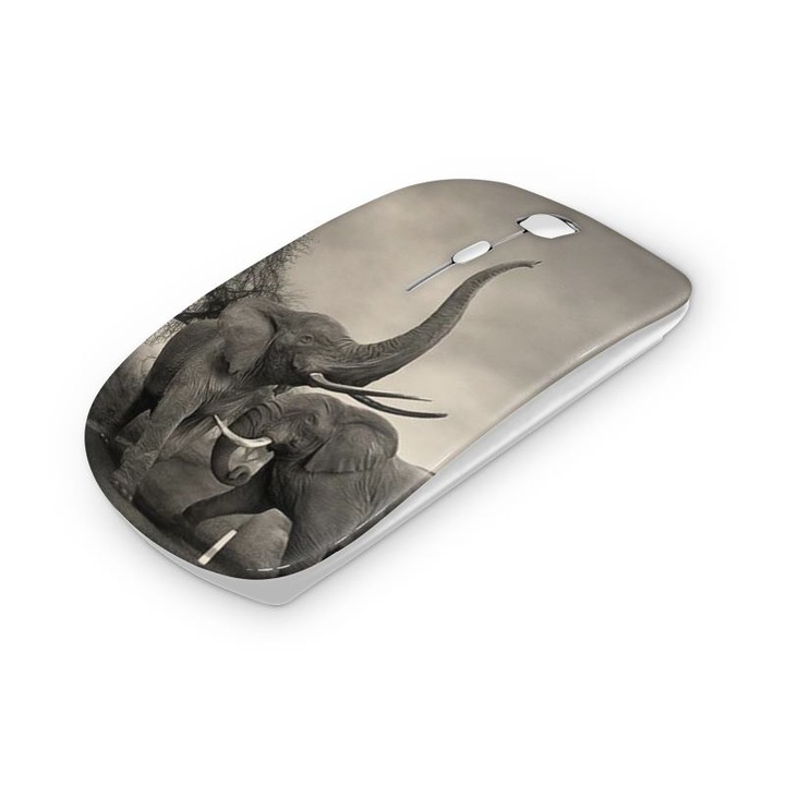 Mouse fara fir, Mobiltokguru, Vioara 2