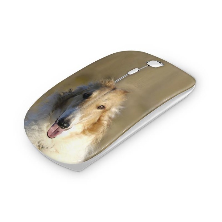 Mouse fara fir, Mobiltokguru, Greyhound 117