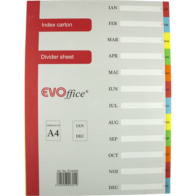 Index carton Ian-Dec EVOffice