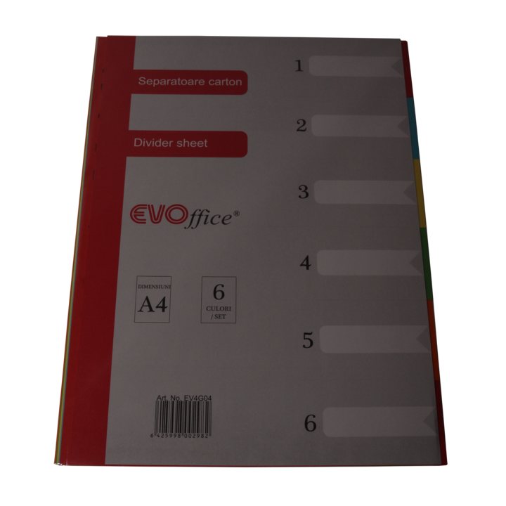 Separatoare carton EVOffice, 5 culori/set