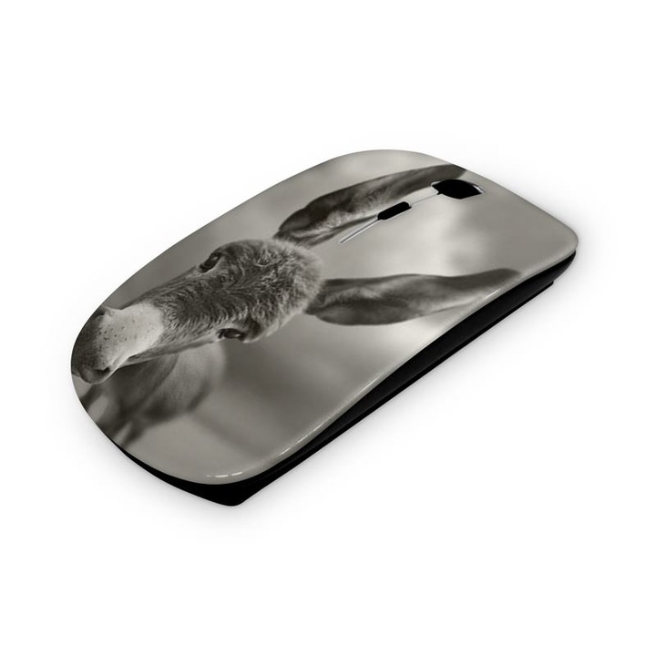 Mouse fara fir, Mobiltokguru, Raccoon 4