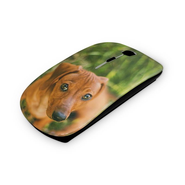 Mouse fara fir, Mobiltokguru, Unicorn 12