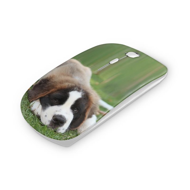 Mouse fara fir, Mobiltokguru, Ferrari 1