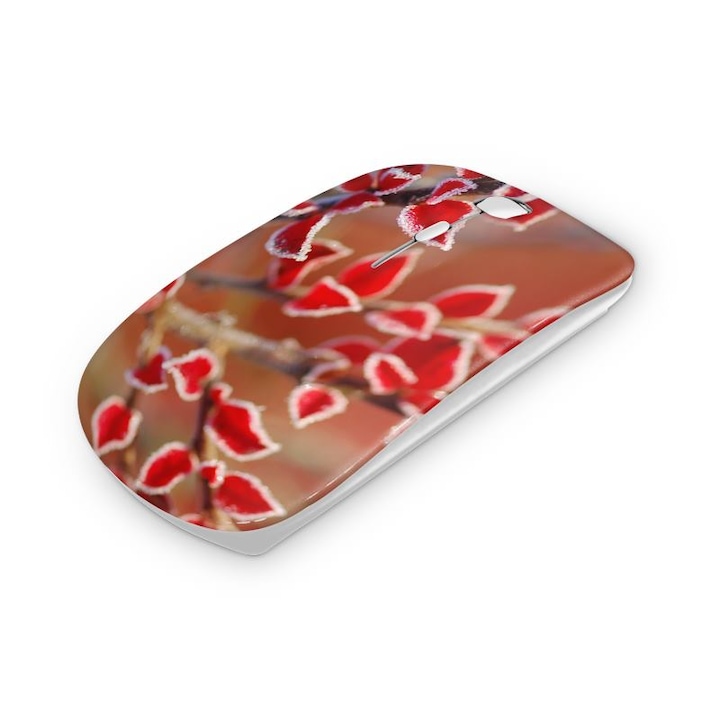 Mouse fara fir, Mobiltokguru, Portocala 4