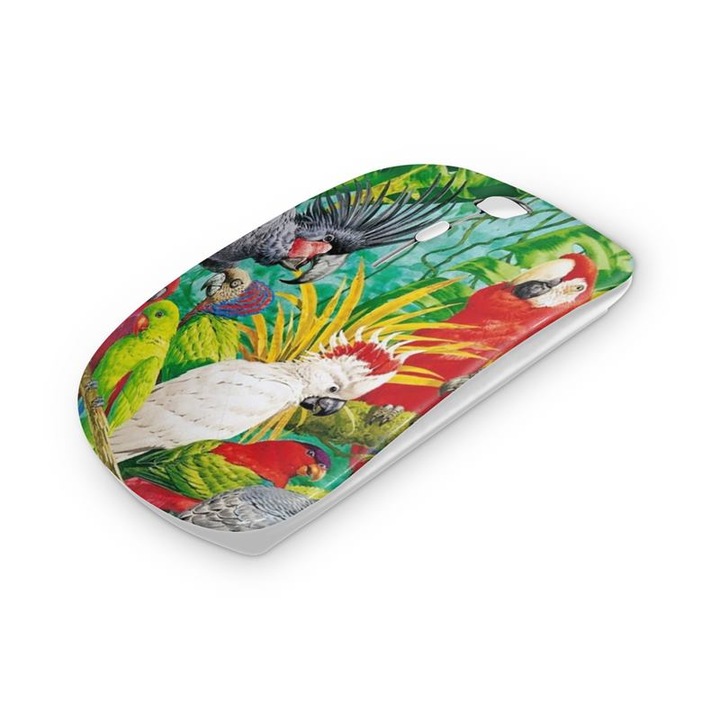 Mouse fara fir, Mobiltokguru, Curcubeu 24
