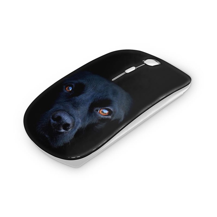Mouse fara fir, Mobiltokguru, Testoasa 1110