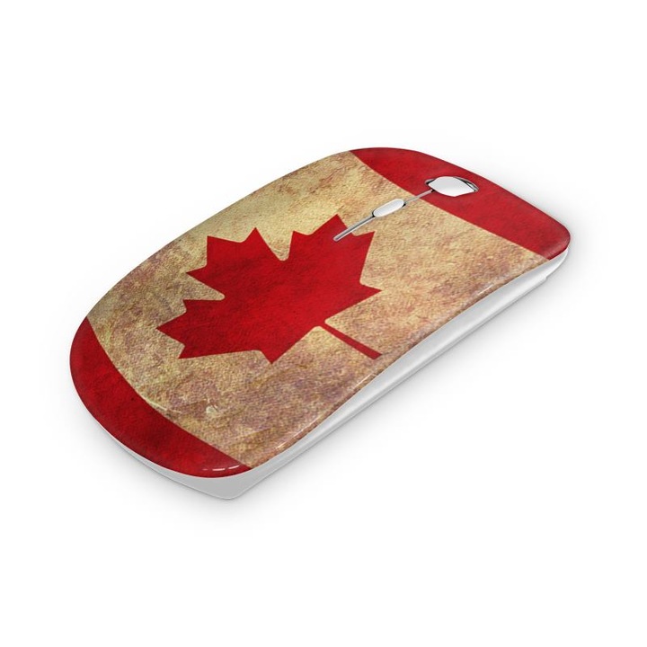 Mouse fara fir, Mobiltokguru, Schelet 27