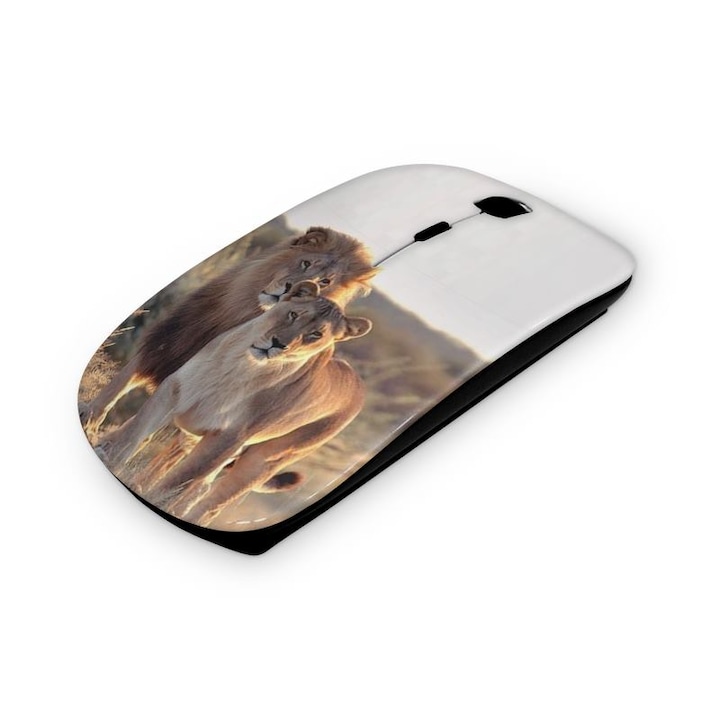 Mouse fara fir, Mobiltokguru, Stema Tarilor de Jos 2