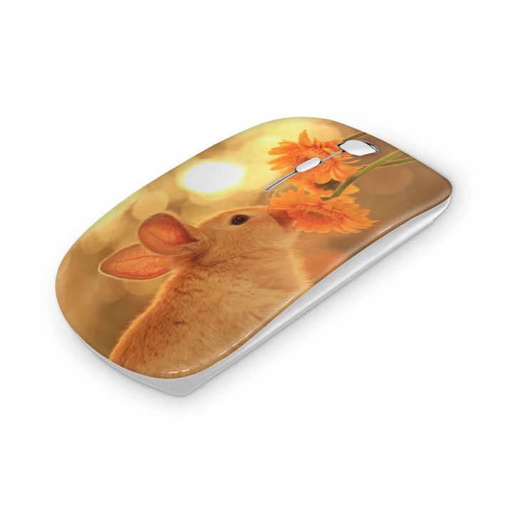 Mouse fara fir, Mobiltokguru, Bufnita 1118