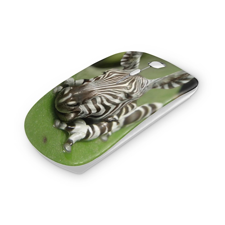 Mouse fara fir, Mobiltokguru, Hummer 5