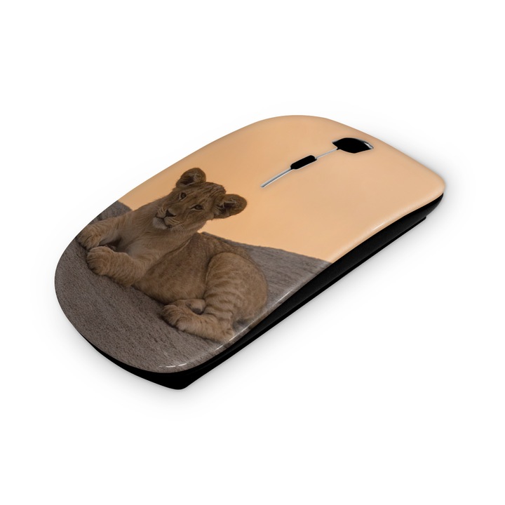 Mouse fara fir, Mobiltokguru, Flori 1