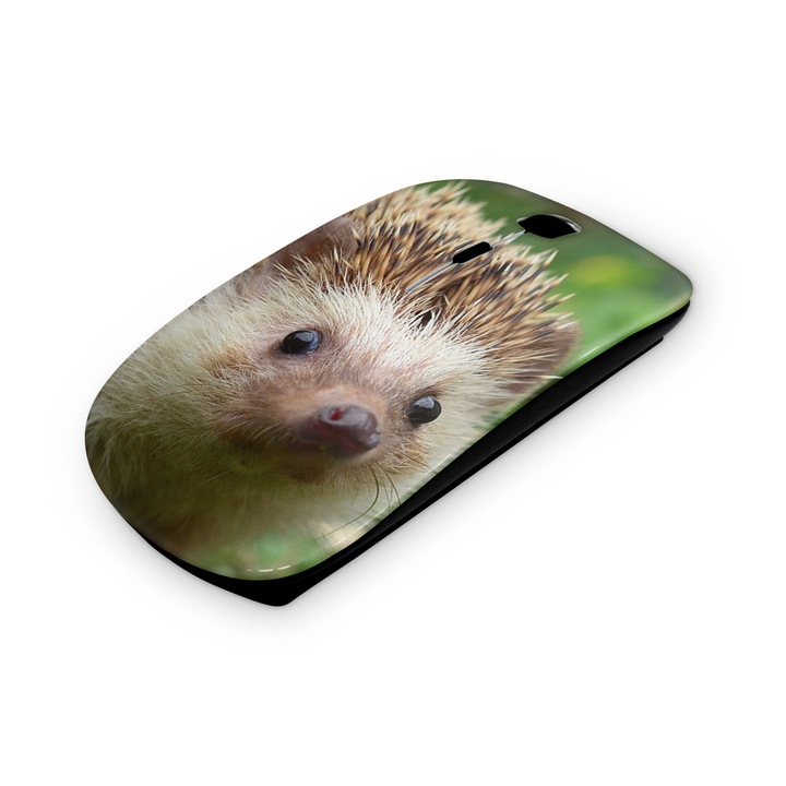 Mouse fara fir, Mobiltokguru, Avion 1