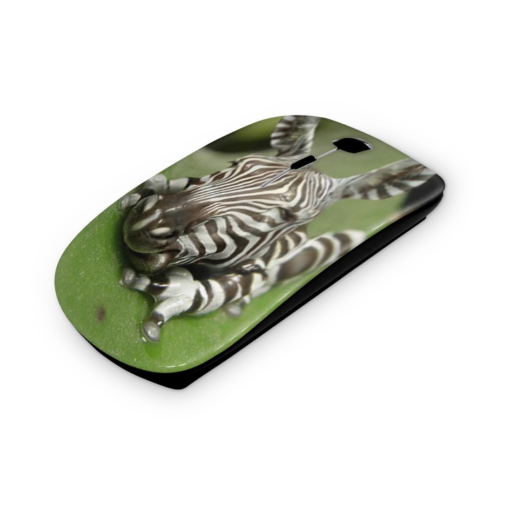 Mouse fara fir, Mobiltokguru, Tata 3