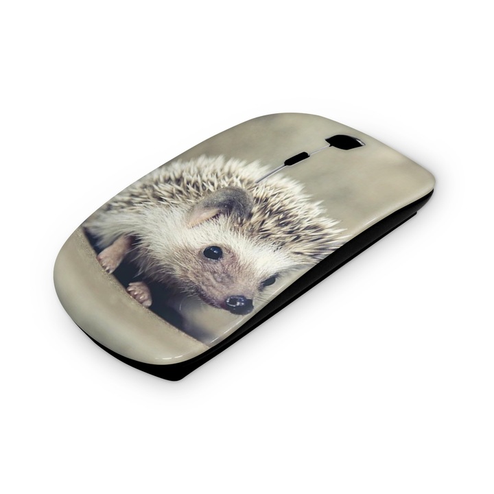 Mouse fara fir, Mobiltokguru, Koala 2