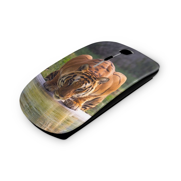 Mouse fara fir, Mobiltokguru, Tatal motocicletei 1