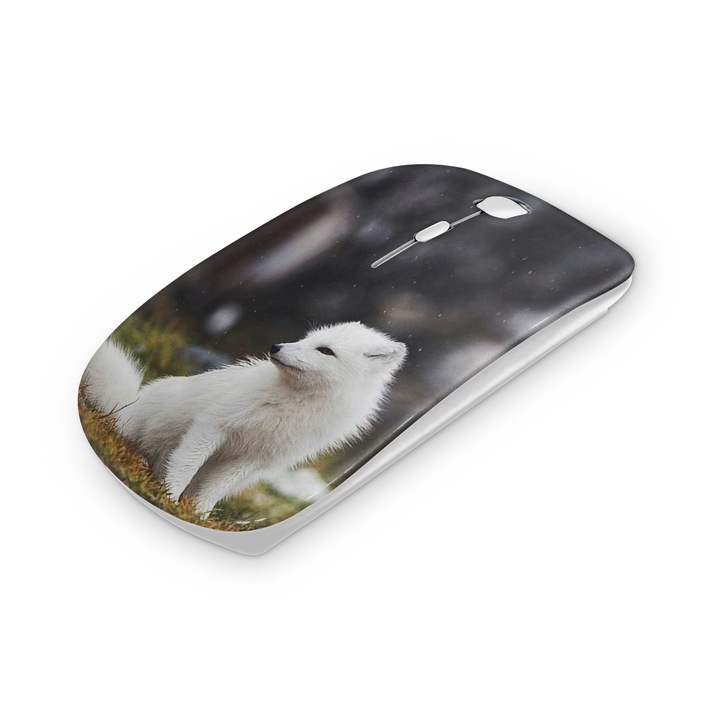 Mouse fara fir, Mobiltokguru, Avion 9