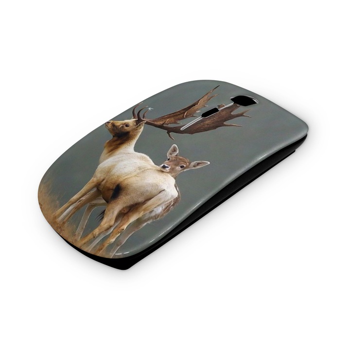 Mouse fara fir, Mobiltokguru, Unicorn 19