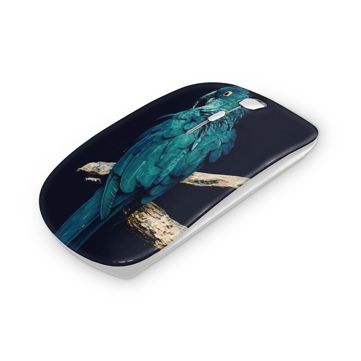 Mouse fara fir, Mobiltokguru, Avion 4
