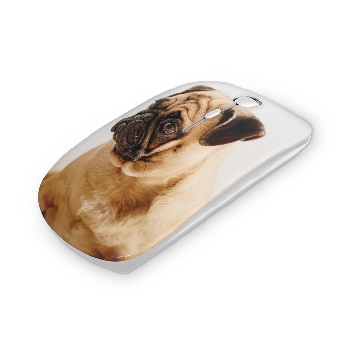 Mouse fara fir, Mobiltokguru, Ruj 1