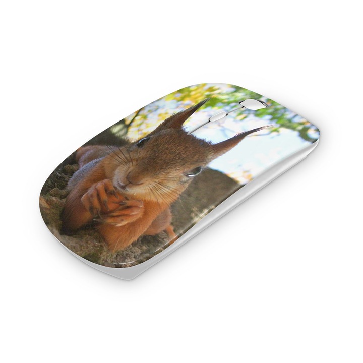 Mouse fara fir, Mobiltokguru, Tatalui detectiv 1