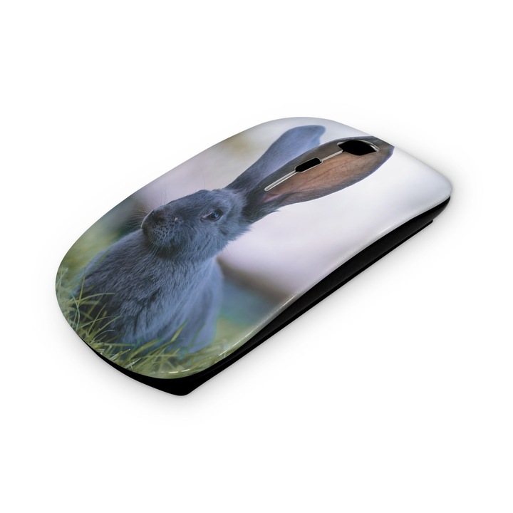 Mouse fara fir, Mobiltokguru, Plaja 4