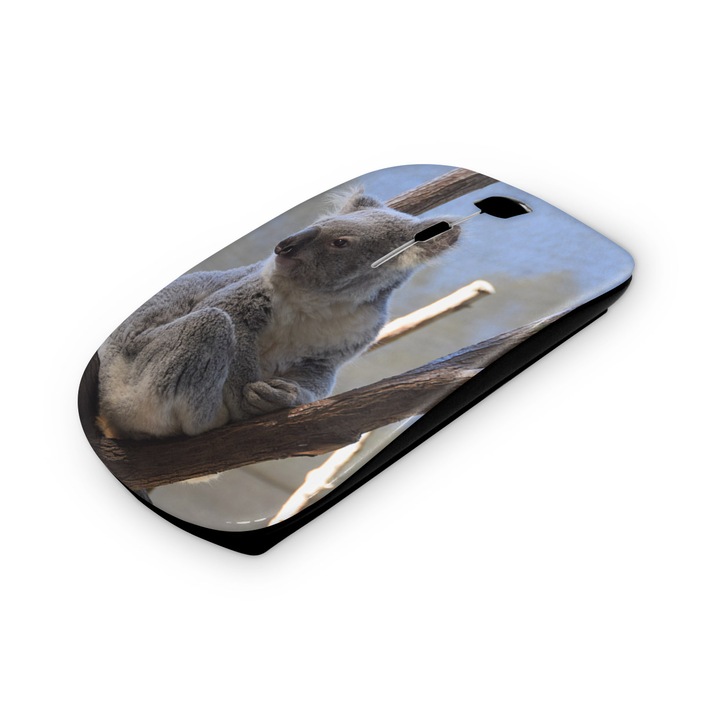 Mouse fara fir, Mobiltokguru, Planeta 23