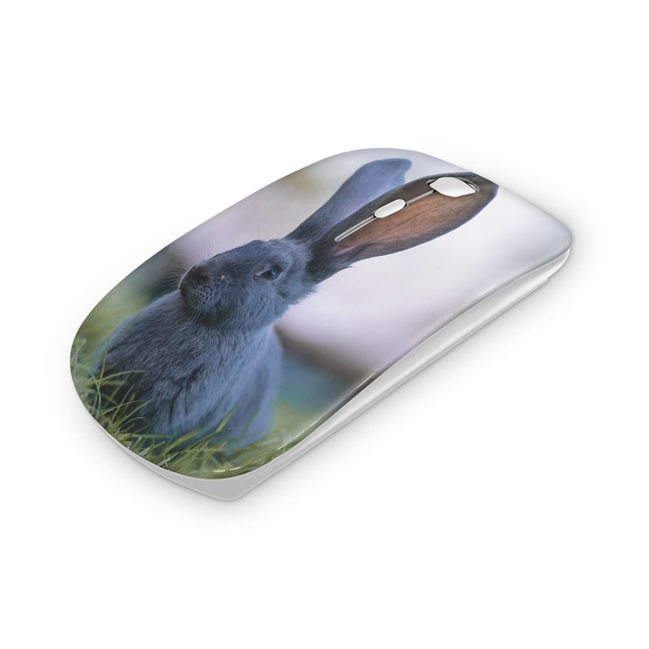 Mouse fara fir, Mobiltokguru, Trandafir hawaian 2