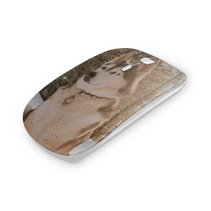 Mouse fara fir, Mobiltokguru, Fire 1111