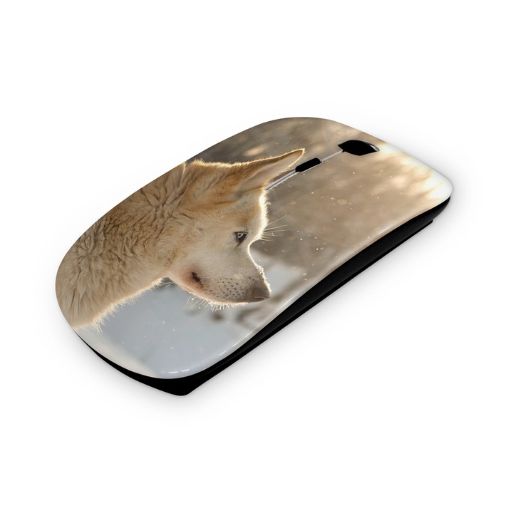 Mouse fara fir, Mobiltokguru, Caine 34