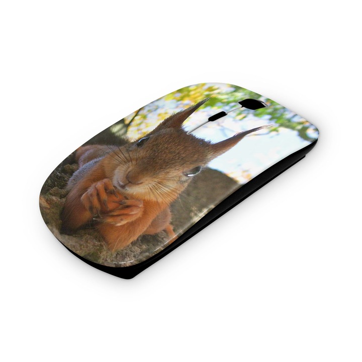 Mouse fara fir, Mobiltokguru, Game over 4