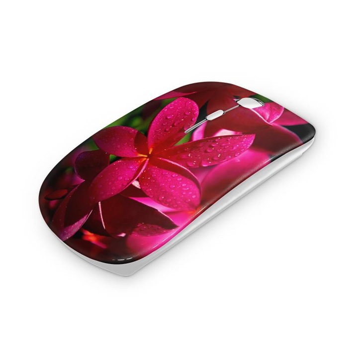 Mouse fara fir, Mobiltokguru, Vulpe 12