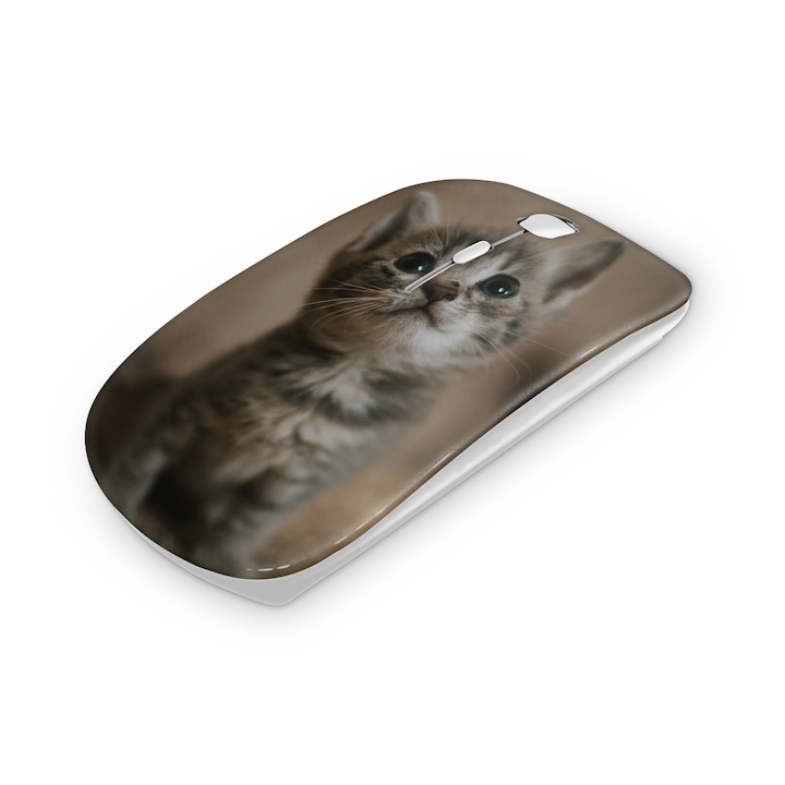 Mouse fara fir, Mobiltokguru, Pisica 11