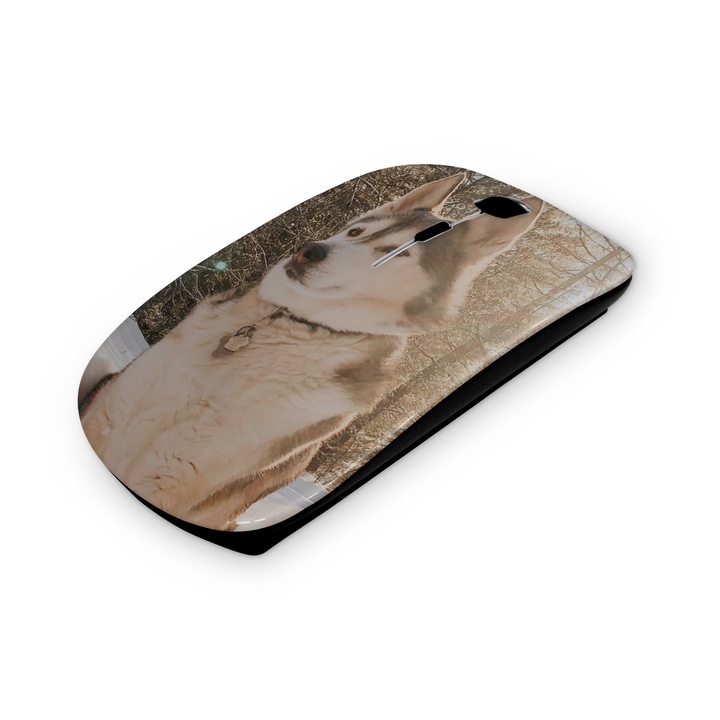 Mouse fara fir, Mobiltokguru, Volei mom