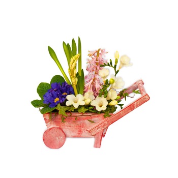 Aranjament floral de primavara roaba cu bulbi, Splendor, Multicolor, 20X19 cm Aranjament floral de primavara roaba cu bulbi, Splendor, Multicolor, 20X19 cm