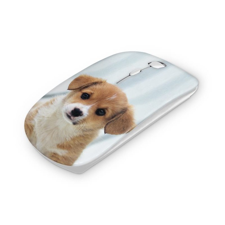Mouse fara fir, Mobiltokguru, Chitara 2