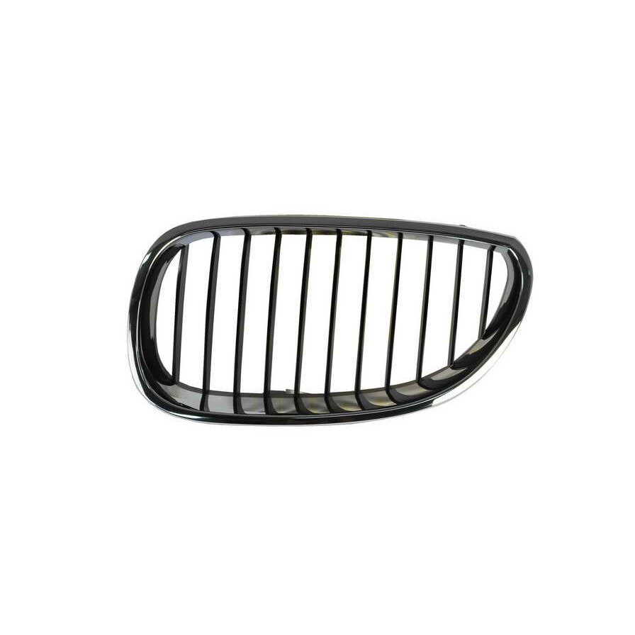 Grila radiator stanga,BMW Seria 5 E60,2004-2010,6502-07-0066991P
