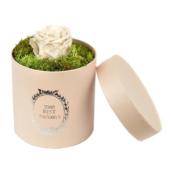 Trandafir criogenat alb, decorat in cutie cu licheni naturali stabilizati Trandafir criogenat alb, decorat in cutie cu licheni naturali stabilizati