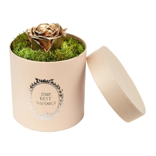 Trandafir criogenat auriu, decorat in cutie cu licheni naturali stabilizati