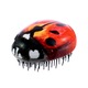 Четка за коса за разресване Kent, Pebble Ladybird, PBUG