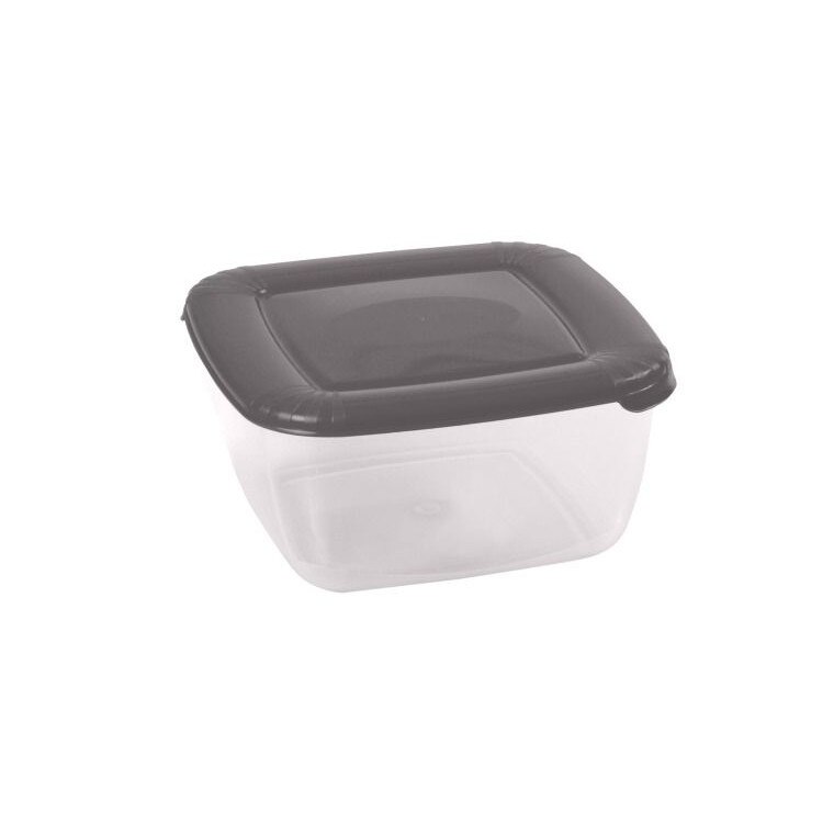 Recipient Pentru Alimente cu capac, Albert, Domotti, Plastic, 0.46 L, Gri